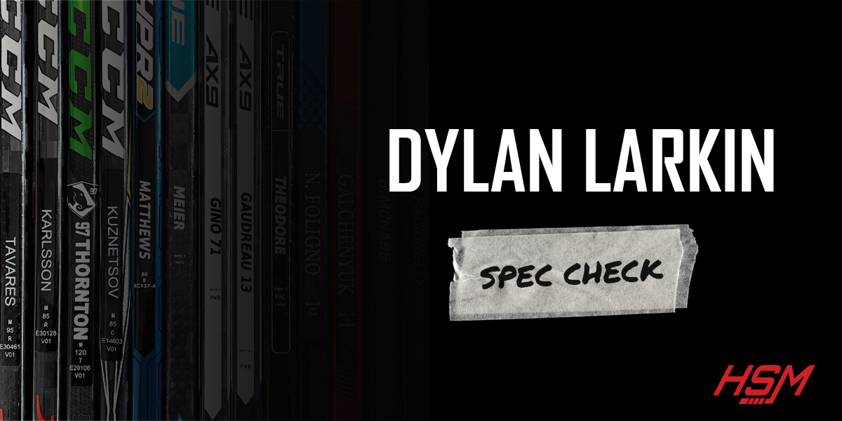 Dylan Larkin Stick, Skates, Gloves, Helmet, Pants & Visor