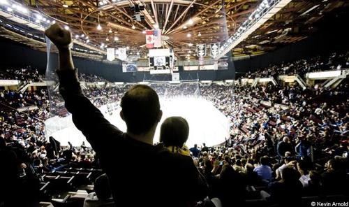 Why NHL Players Deserve our Cheers